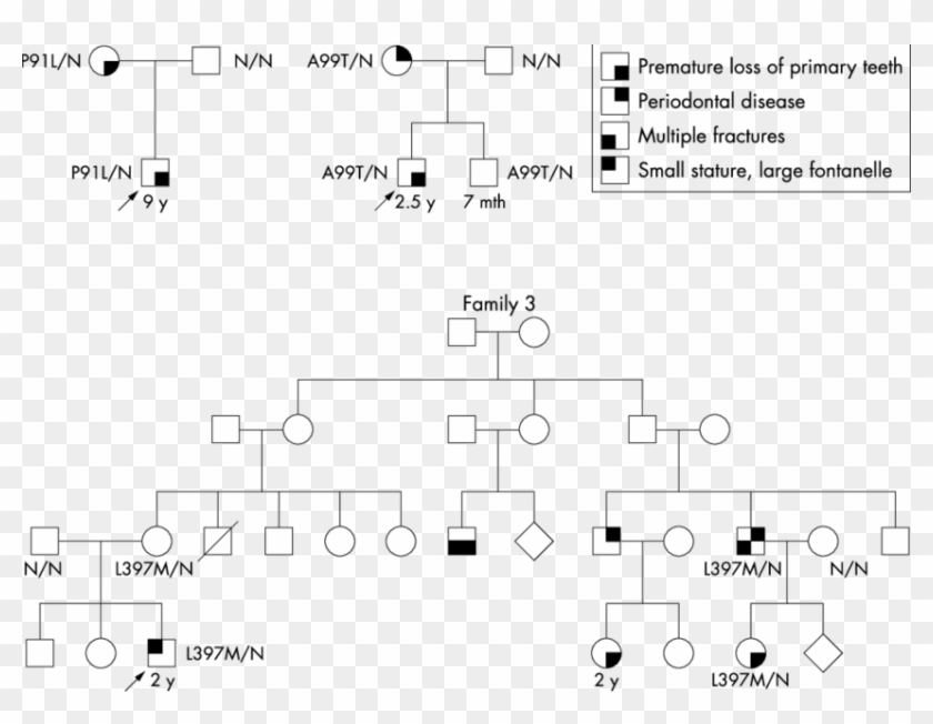 Pedigree Data And Mutation Analysis Results In The - Transmission Of ...