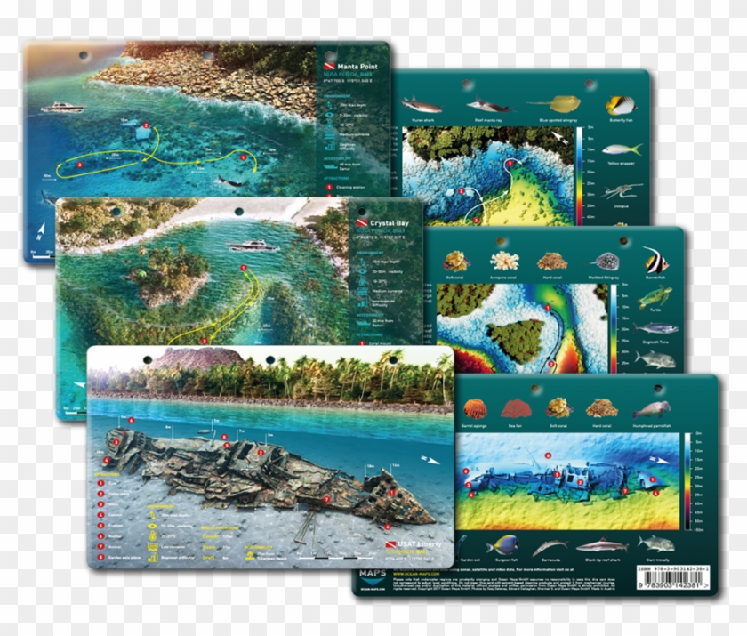 Our Dive Cards Are Printed On Durable, Waterproof Pvc - Battlecruiser ...
