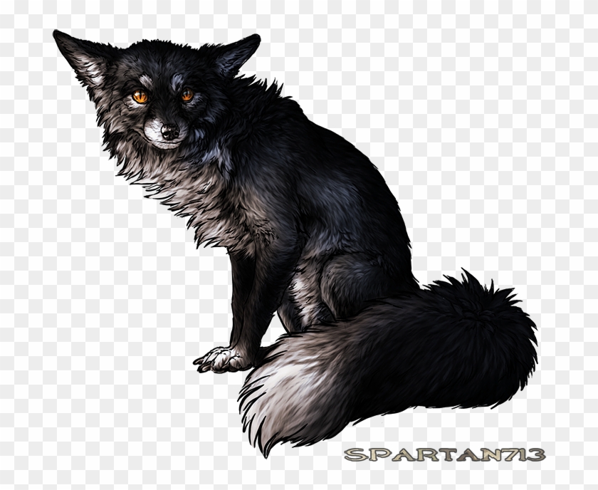 Silver Fox, HD Png Download - 700x615(#3836516) - PngFind
