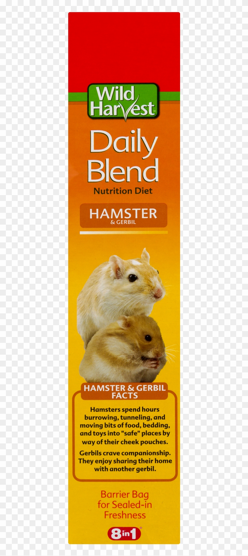 wild hamster diet