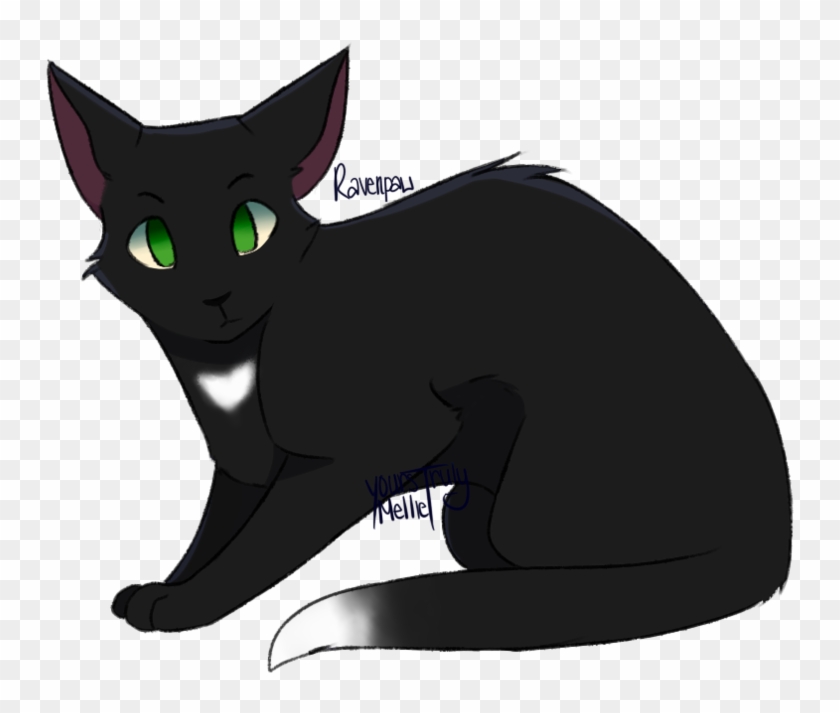 Drawn Black Cat Warrior Cat Warrior Cats Drawings Ravenpaw Hd Png