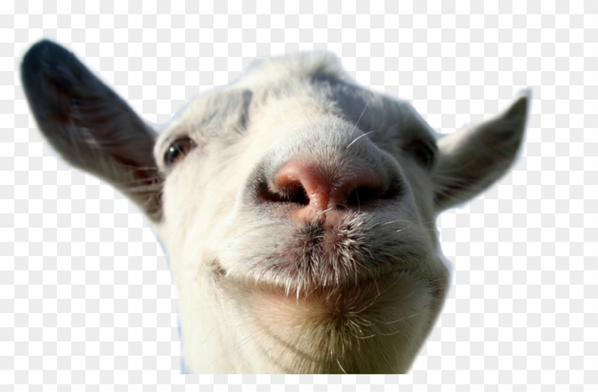 goat png images