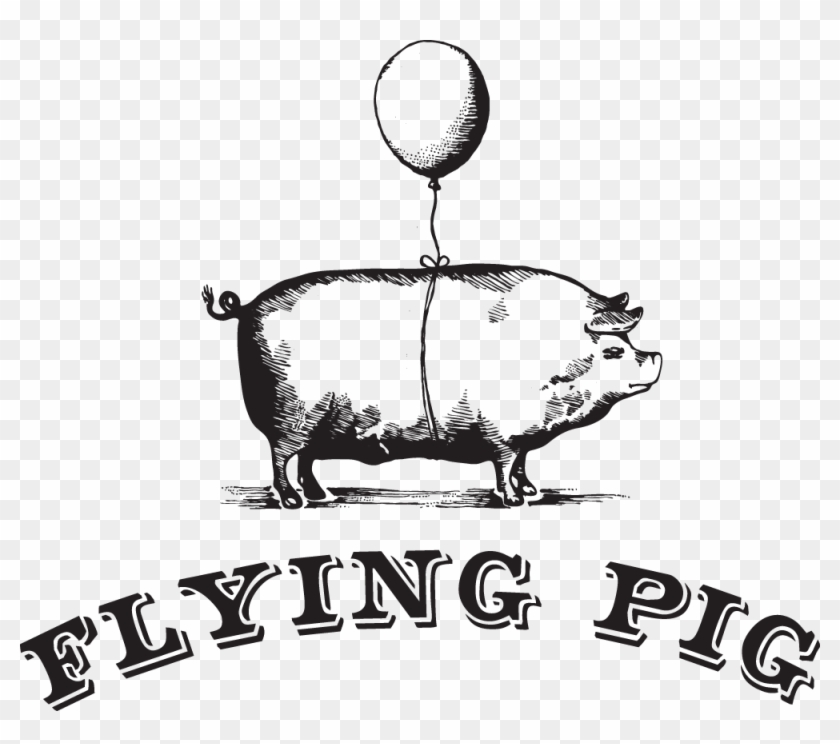 flying pig slippers