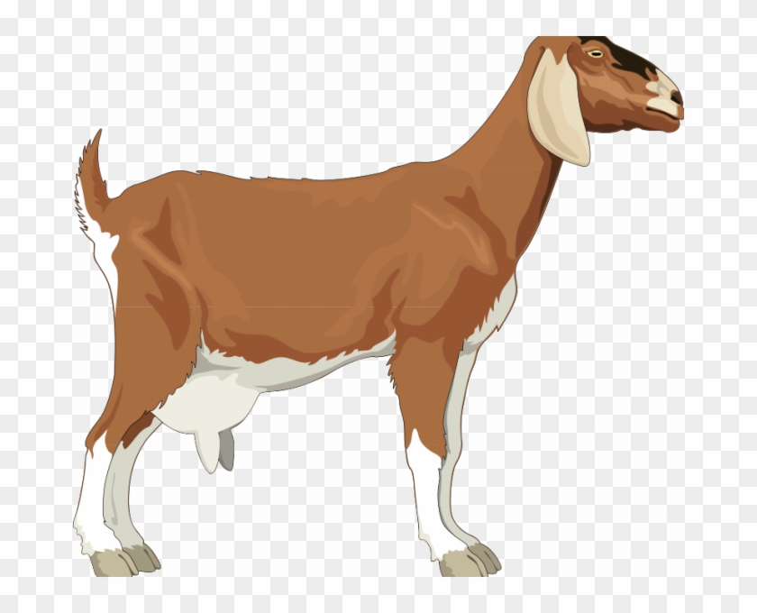 Goat Pictures Free Goat Free Vector 4vector Simple Goat Clipart