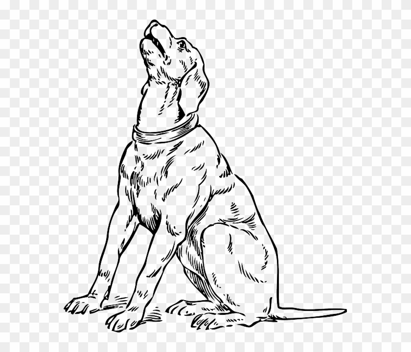 Silhouette, Cartoon, Dog, Dogs, Sitting, Barking, Pet - Dog Looking Up  Drawing, HD Png Download - 579x640(#3878372) - PngFind