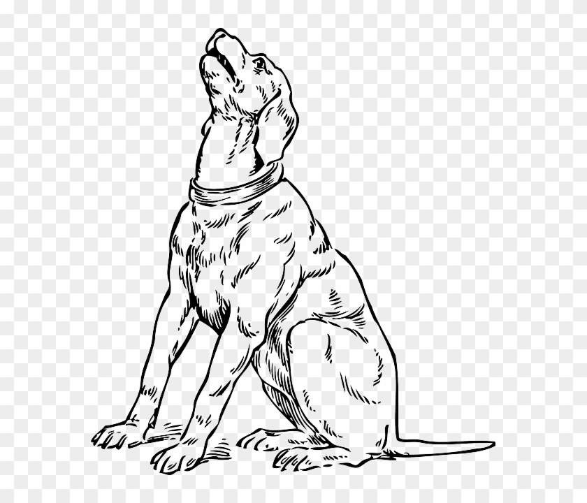 Silhouette, Cartoon, Dog, Dogs, Sitting, Barking, Pet - Dog Looking Up Drawing, HD Png Download - 579x640(#3878372) - PngFind Silhouette, Cartoon, Dog, Dogs, Sitting, Barking, Pet - Dog Looking Up Drawing, HD Png Download - 579x640(#3878372) - PngFind