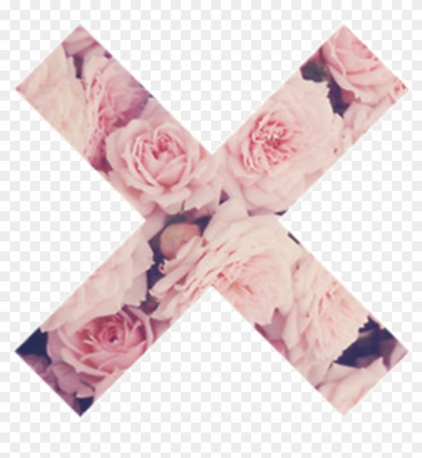 Tumblr x sales