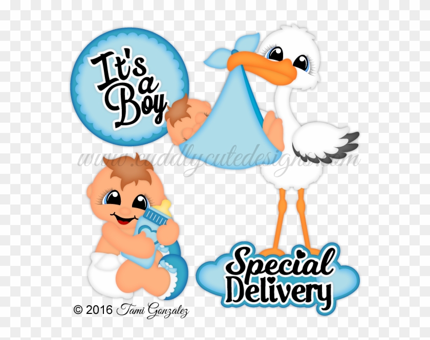 It's A Boy Pet Rocks, Cute Designs, Rock Animals, Big - Cartoon It Is A Boy,  HD Png Download - 600x600(#3891143) - PngFind