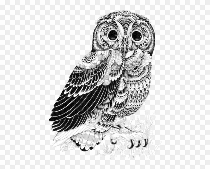 Download Image - Pen And Ink Art Animals, HD Png Download - 500x646(#3893112) - PngFind Download Image - Pen And Ink Art Animals, HD Png Download - 500x646(#3893112) - PngFind
