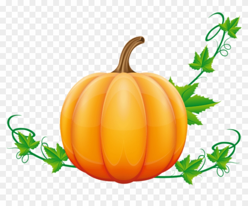 Free Png Download Pumpkin Clipart Png Photo Png Images Fall Pumpkin Clip Art Transparent Png 850x628 394140 Pngfind