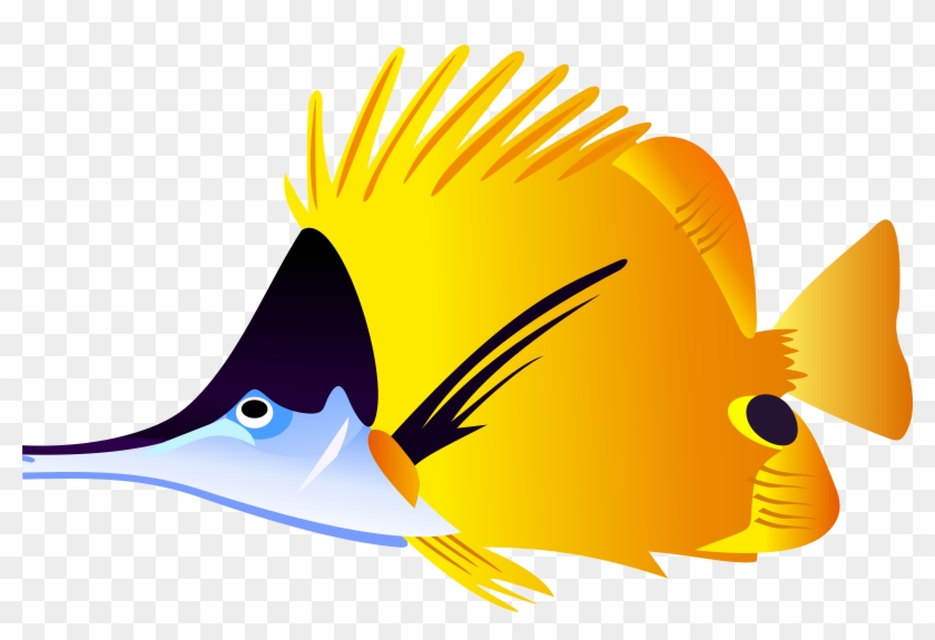 Download Saltwater Fish Clipart At Getdrawings Tropical Fish Clipart Hd Png Download 2400x1530 394733 Pngfind