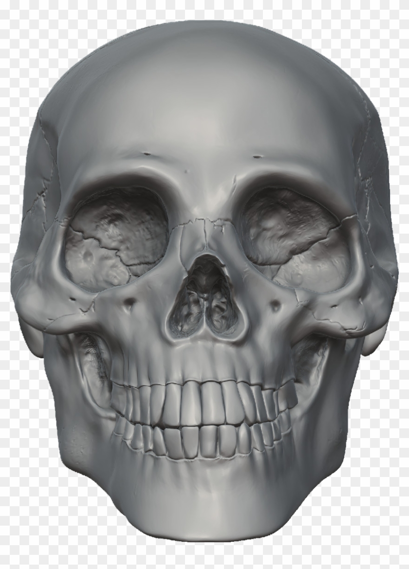 Download Png Image - Skeleton Hd Png, Transparent Png - 1200x1200(#394927) - PngFind Download Png Image - Skeleton Hd Png, Transparent Png - 1200x1200(#394927) - PngFind