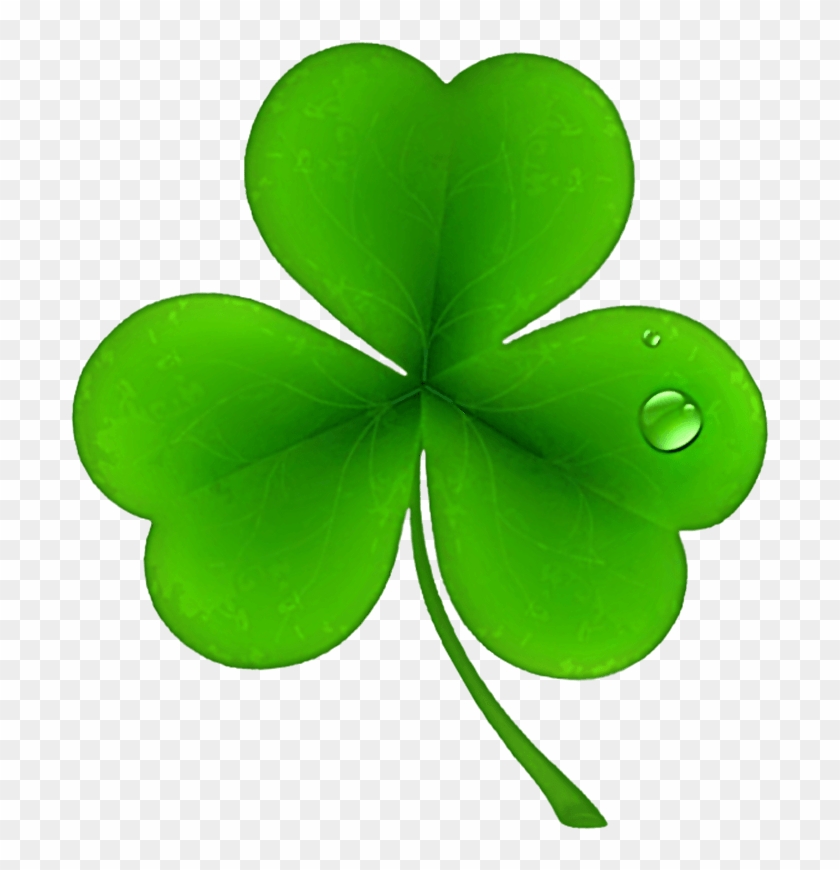ymca st patricks day run