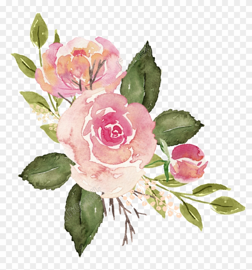 Rosas Png - Watercolor Roses Png Free, Transparent Png - 1024x1024(#399480)  - PngFind
