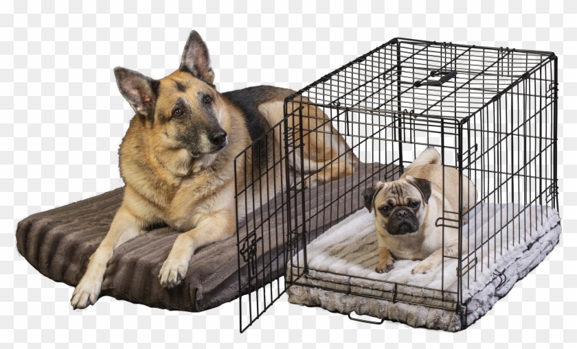 german shepherd bed