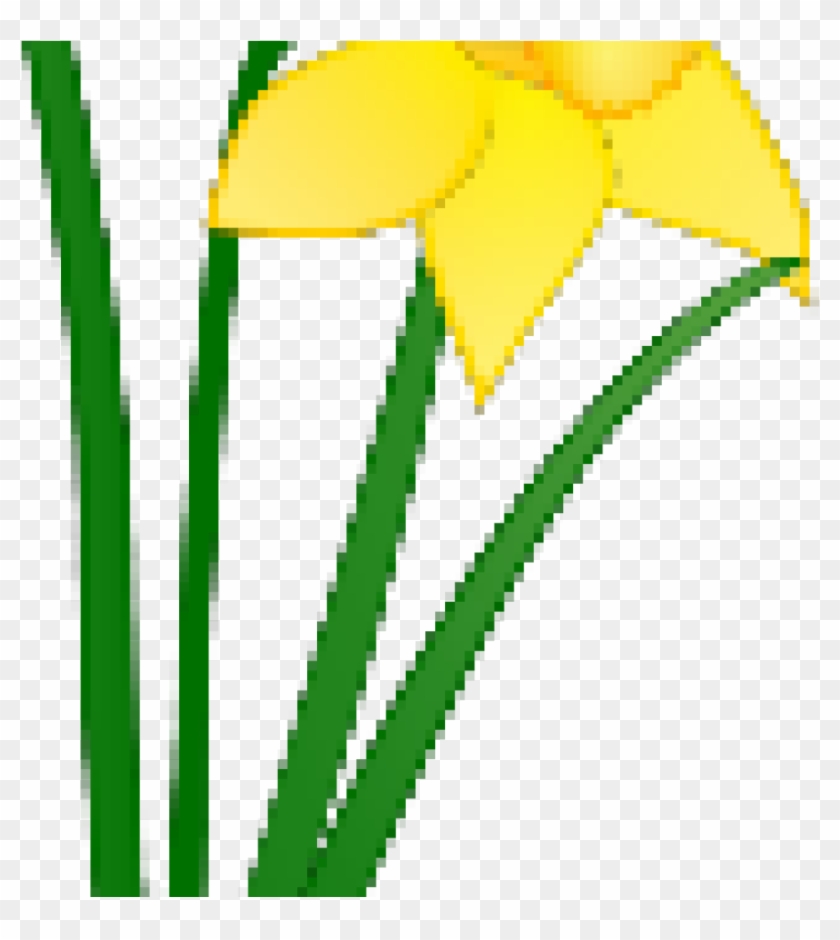 Daffodil Clipart Daffodil Welsh - Daffodil Clip Art, HD Png Download ...