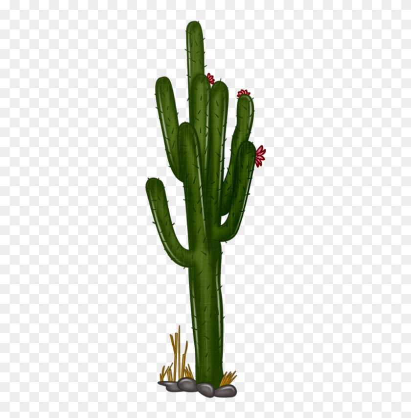 Cactus Clipart Png - Transparent Background Cactus Png Clipart, Png