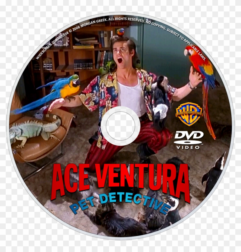 Pet Detective Dvd Disc Image Ace Ventura Animal Lover Hd Png Download 1000x1000 Pngfind Pet Detective Dvd Disc Image Ace Ventura Animal Lover Hd Png Download 1000x1000 Pngfind