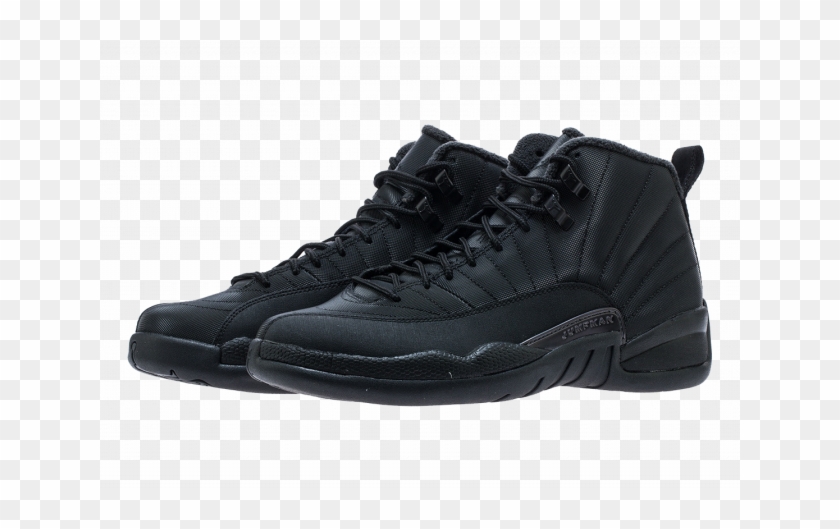 aj 12 winter
