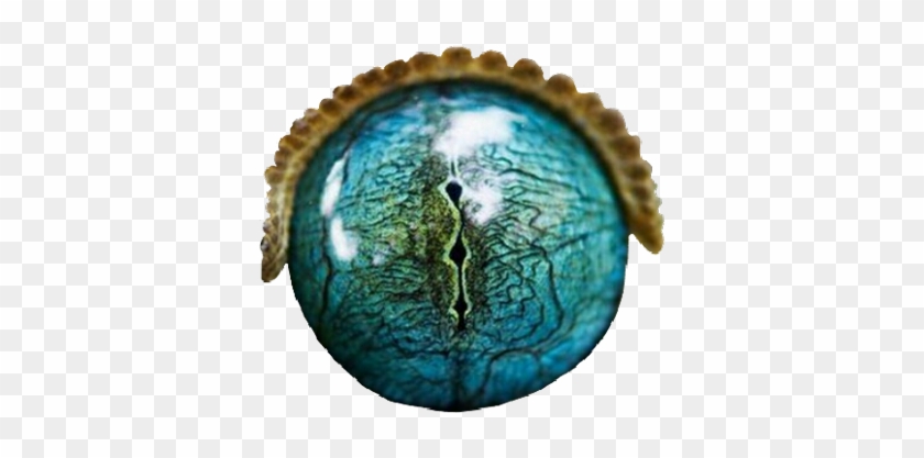 Eye Eyes Reptile Crocodile Alligator Scales Water Transparent Alligator Eyes Hd Png Download 1024x756 3982110 Pngfind