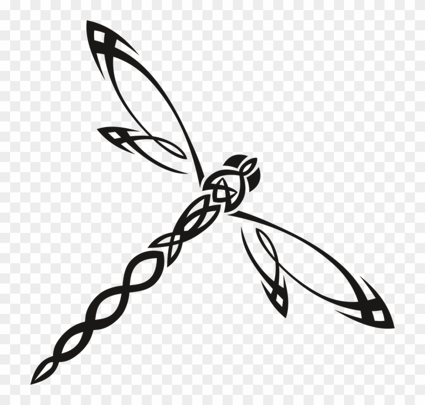 Ważka Insect Wings Worm Tattoo No Background - Dragonfly Clip Art, HD Png Download - 720x720(#3983775) - PngFind Ważka Insect Wings Worm Tattoo No Background - Dragonfly Clip Art, HD Png Download - 720x720(#3983775) - PngFind