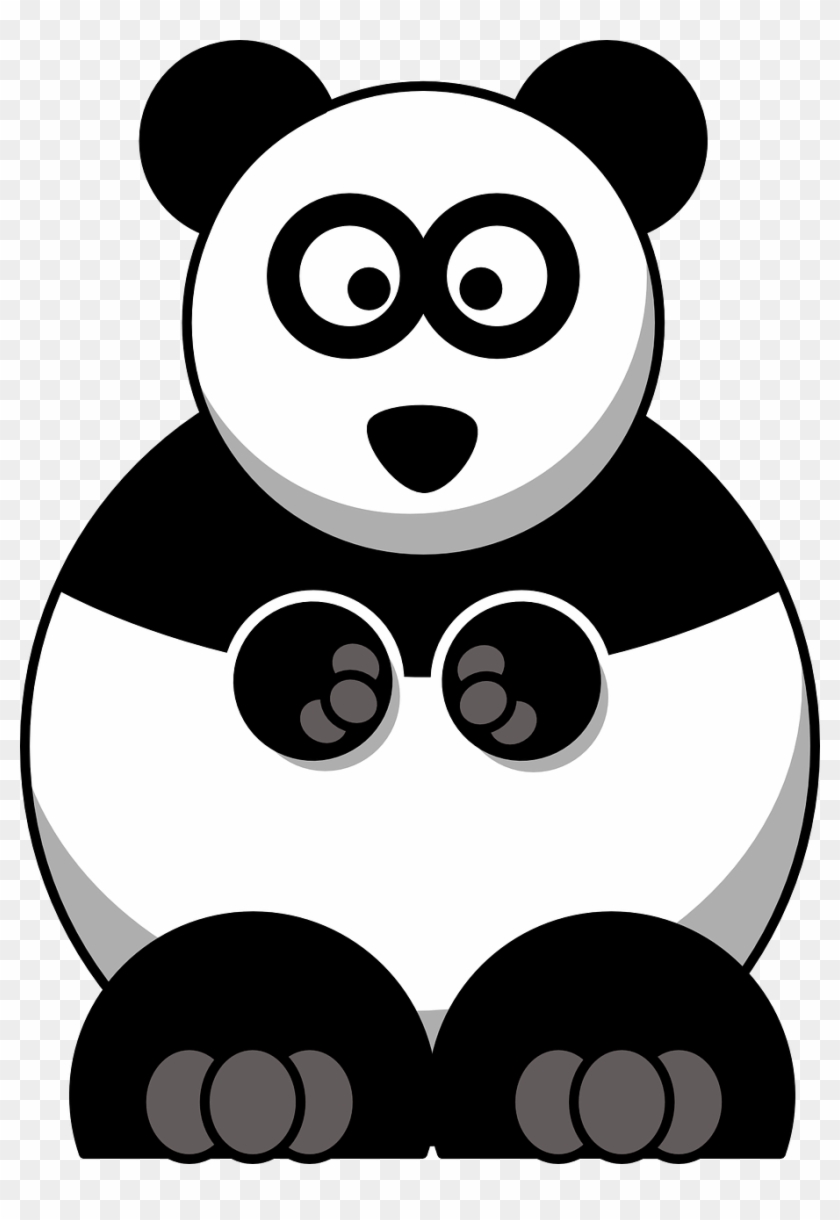 Panda Bear Baby Face Animal Png Image Panda Clipart Transparent Png 911x1280 Pngfind