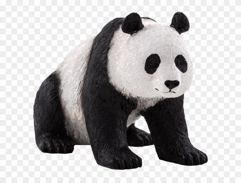 Oso Panda Png Oso Panda Animal Png Transparent Png 759x759 Pngfind