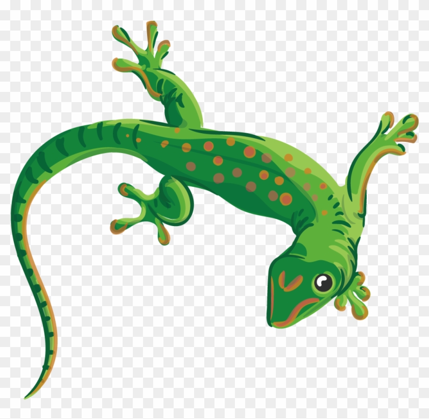 Collection Of Free Lizard Vector Reptile - Transparent Background Gecko