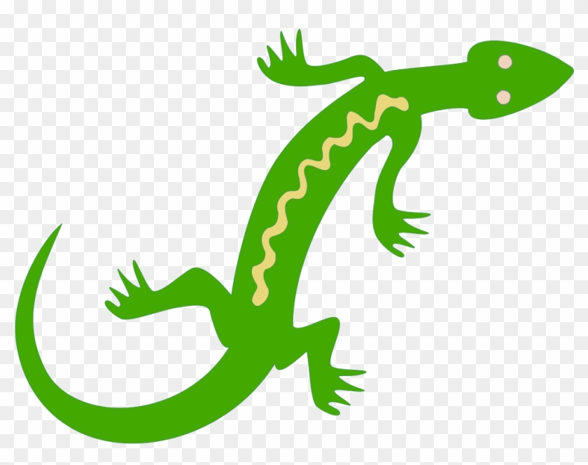 Lizard Clipart Green Lizard Frames Illustrations Hd Clip Art Hd Png Download 1000x746 42377 Pngfind