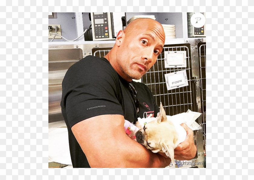 Dwayne Johnson Png PNG Transparent For Free Download - PngFind