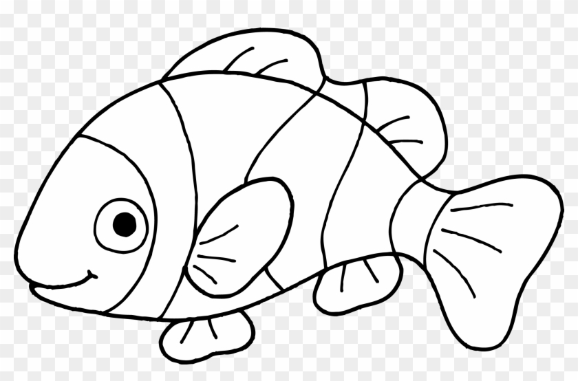 Download Outline Of Clown Fish Hd Png Download 2458x1507 45573 Pngfind