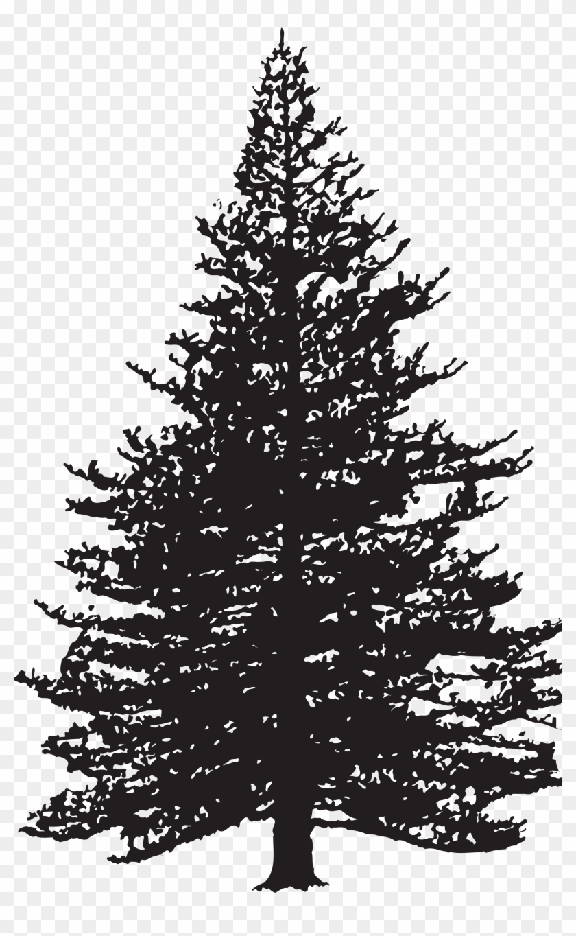 Pine Tree Silhouette Clip Art Image Pine Tree Silhouette Png