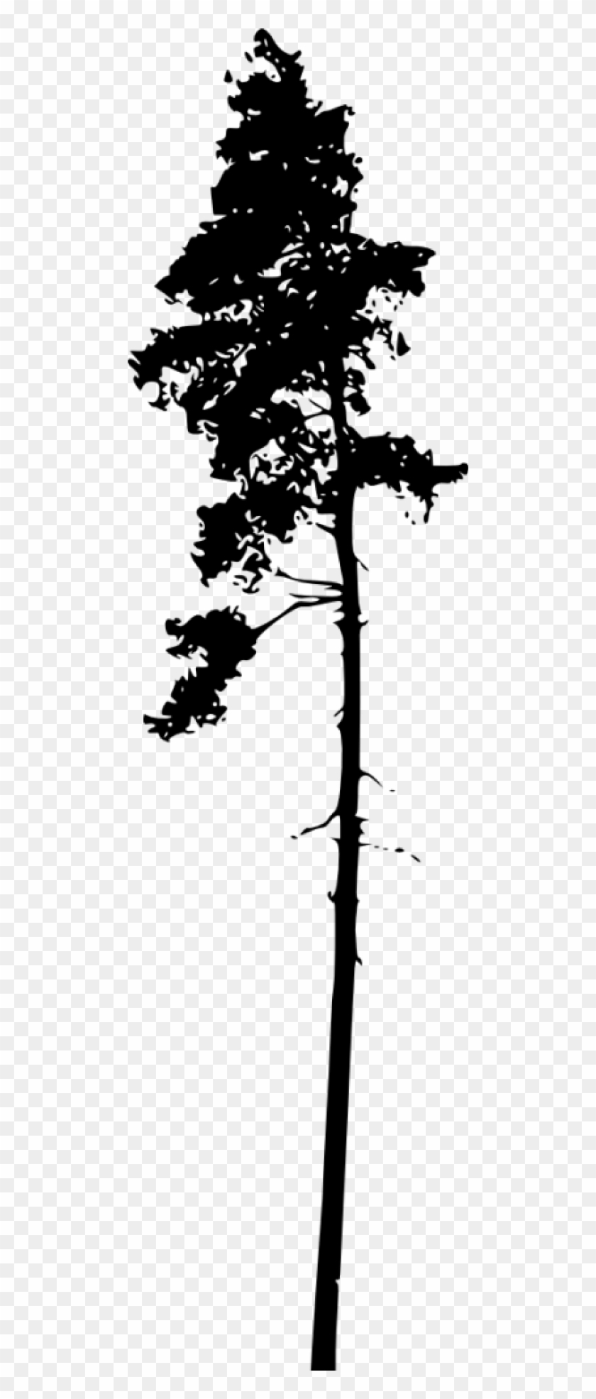 Download Free Png Pine Tree Silhouette Png Images Transparent - Silhouette, Png Download - 480x1891 ...