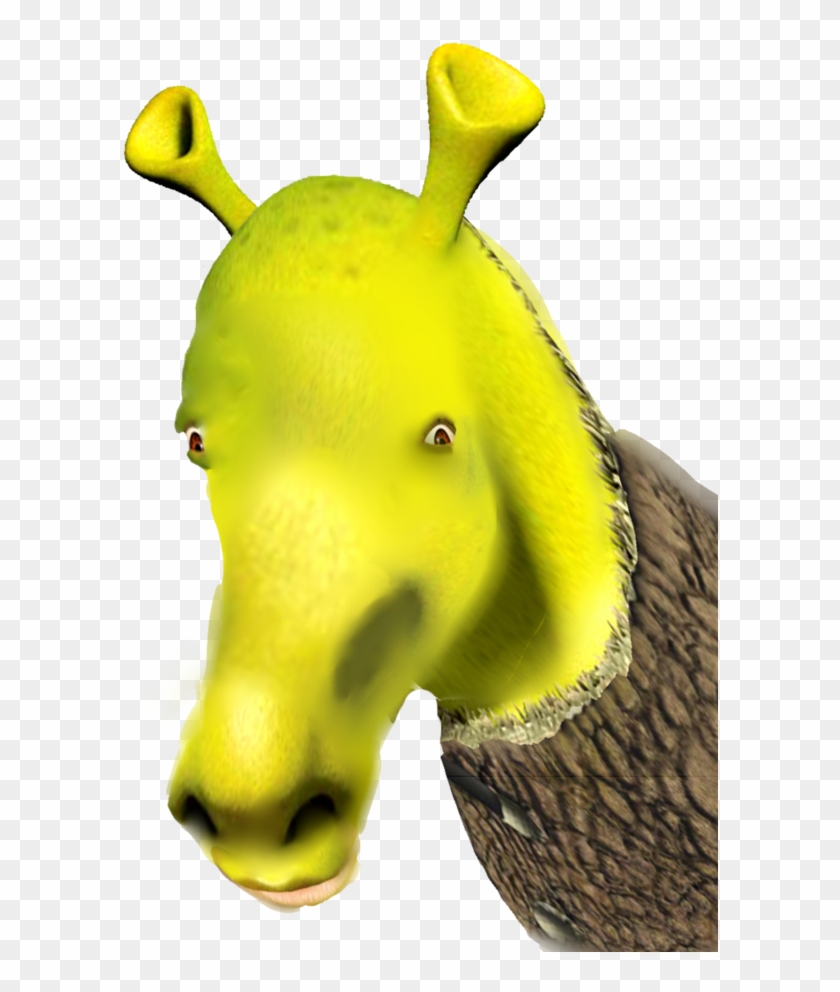 Shrek Face Png, Transparent Png - vhv