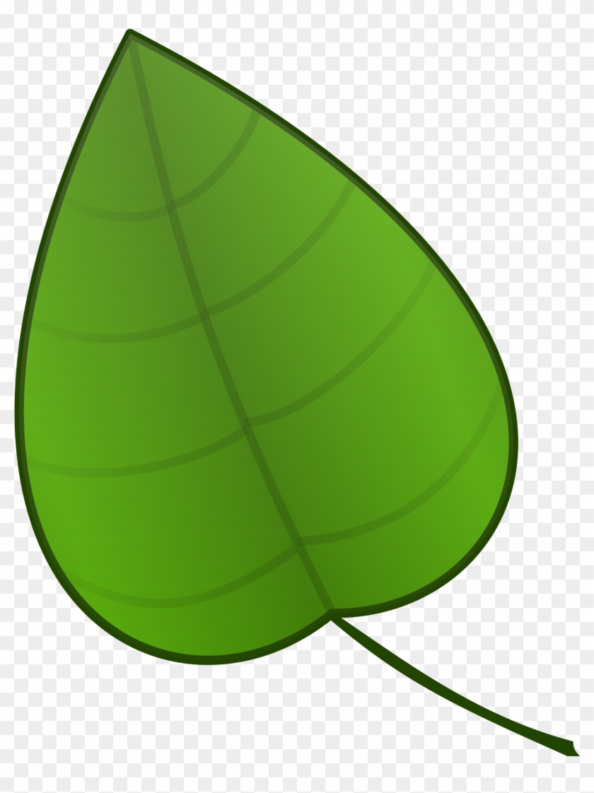 Clipart Leaf - Green Things Clip Art, HD Png Download - 1920x2400