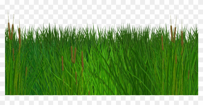 picture Green Grass Border Clipart seamless grass border free png clipart