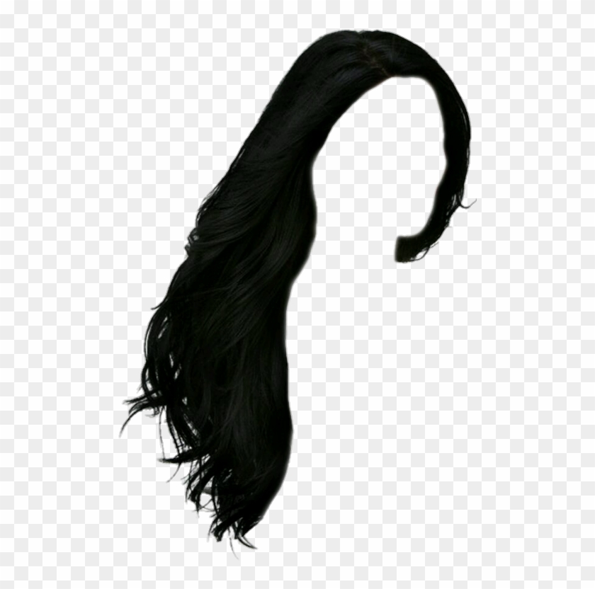 Black Long Hair Png , Png Download - Black Hair Transparent Background, Png  Download - 507x752(#409073) - PngFind