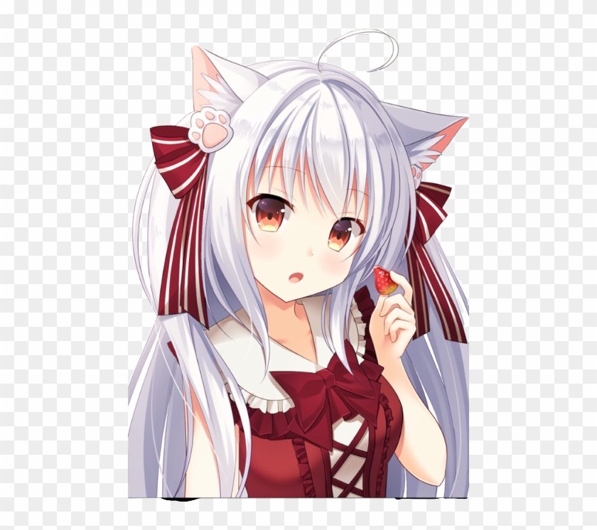 Anime Girl Neko Hair White Eyes Red, HD Png Download - 480x666(#4003672) -  PngFind