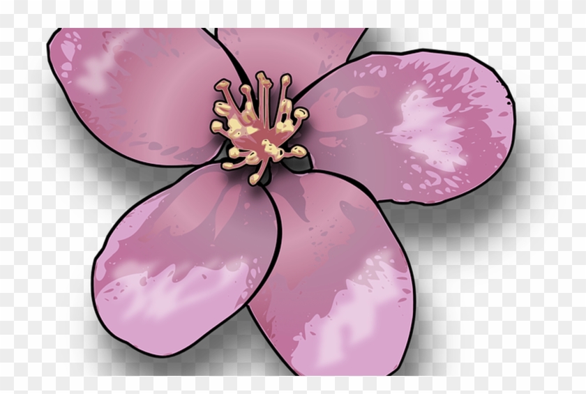 Pink Flower Vector Graphics Pixabay Download Free Images Apple Blossom Flower Clipart Hd Png Download 1368x855 Pngfind Pink Flower Vector Graphics Pixabay Download Free Images Apple Blossom Flower Clipart Hd Png Download 1368x855 Pngfind