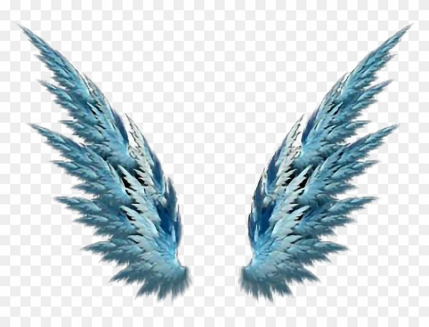 Alas Asas Wings Blue Freedom Render Sayap Hd Png Download 788x560 4013259 Pngfind