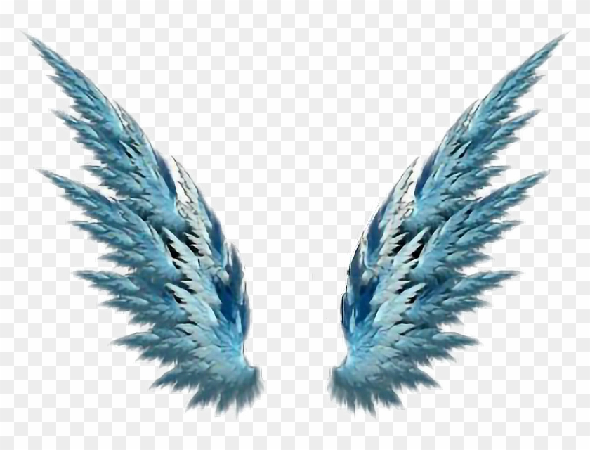 Alas Asas Wings Blue Freedom Render Sayap Hd Png Download 788x560 4013259 Pngfind - alas para roblox gratis