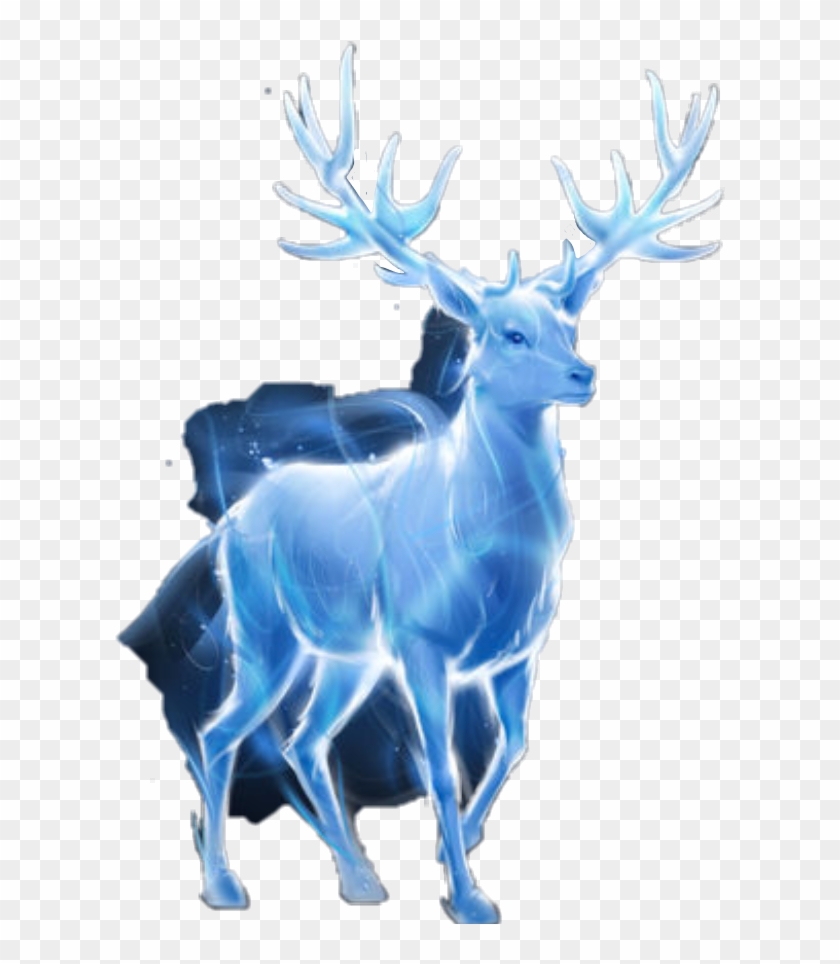 Download Harry Potter Patronus Png - Harry Potter Patronus ...