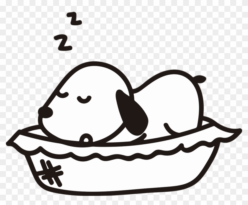 Dog Pet Puppy Sleep Sleeping Cute Adorable, HD Png Download - 922x720(#4046156) - PngFind Dog Pet Puppy Sleep Sleeping Cute Adorable, HD Png Download - 922x720(#4046156) - PngFind