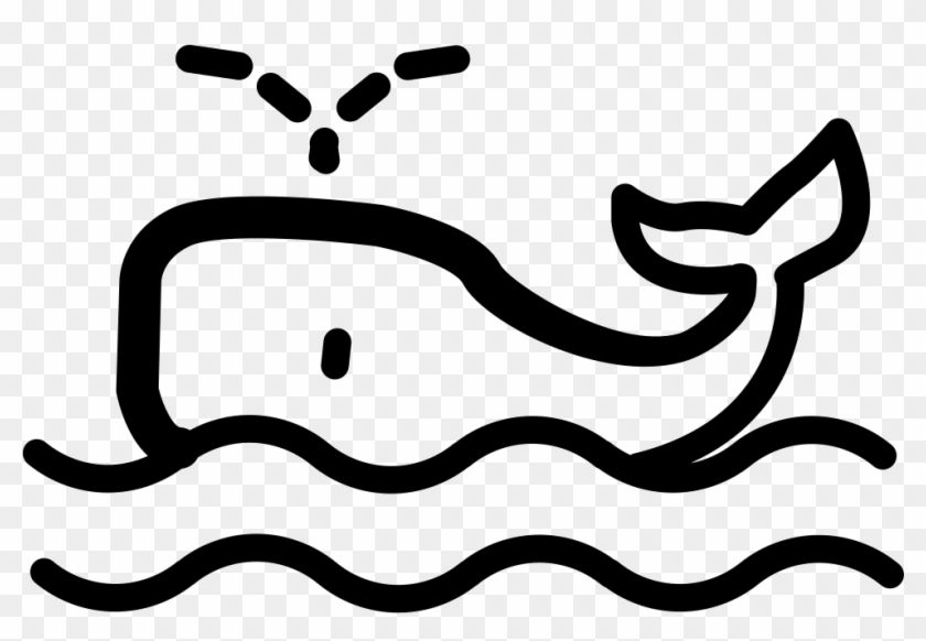 Download Whale Watching Svg Png Icon Free Download Whale Watching Icon Transparent Png 981x634 4053886 Pngfind