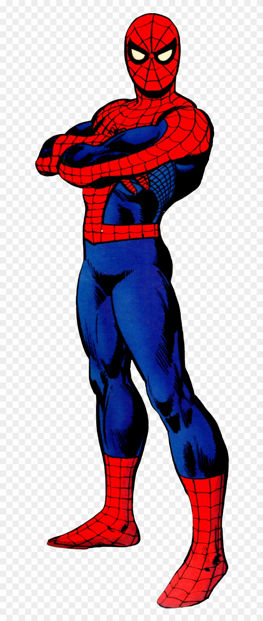 The Amazing Spider-man By Ross Andru & Dick Giordano - Hombre Araña Cuerpo  Completo, HD Png Download - 967x1920(#4076406) - PngFind
