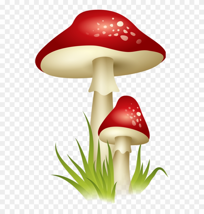 Featured image of post Brown Mushroom Mario Drawing