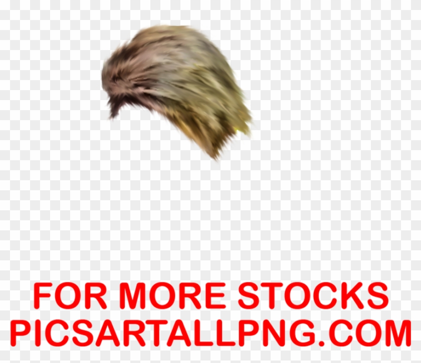 Hd Cb Hair Png,hair Png,picsartallpng - Poster, Transparent Png - 870x710(#416874) - PngFind Hd Cb Hair Png,hair Png,picsartallpng - Poster, Transparent Png - 870x710(#416874) - PngFind