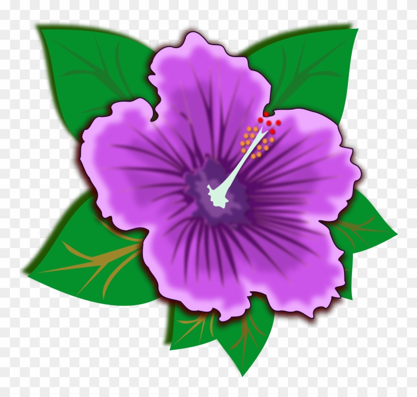 Download Free Printable Clipart And Coloring Pages Purple Hibiscus