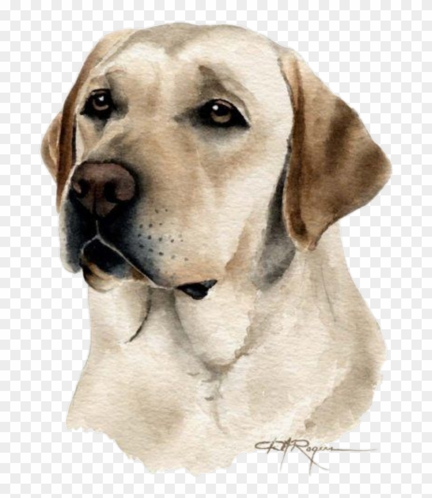 Dog Fanart Tumblr Dibujos De Perros Labradores Hd Png