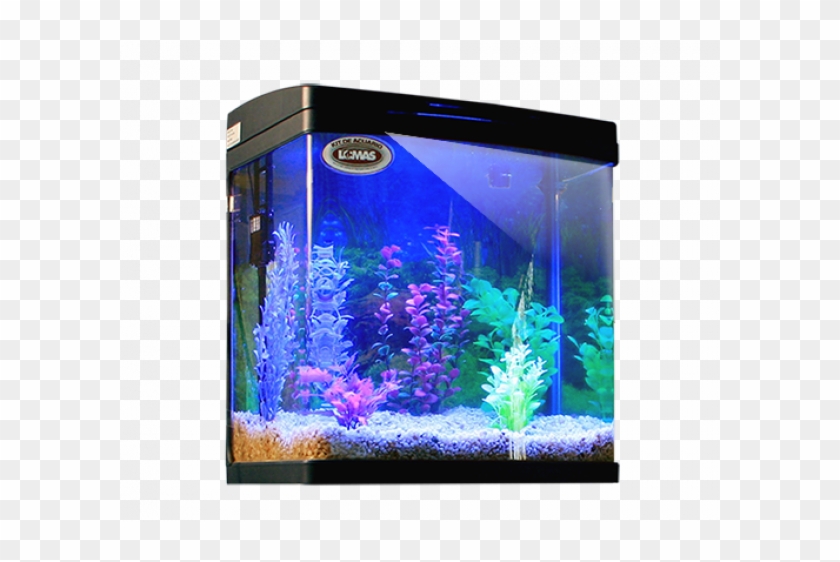 Kit De Acuario Rectangular Negro - Nano Acuario Mexico, HD Png Download - 600x600(#4120204) - PngFind Kit De Acuario Rectangular Negro - Nano Acuario Mexico, HD Png Download - 600x600(#4120204) - PngFind
